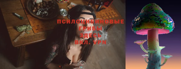 бошки Беломорск