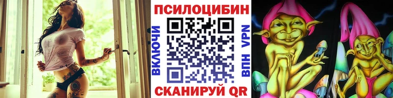 цена Дигора Псилоцибиновые грибы ЛСД